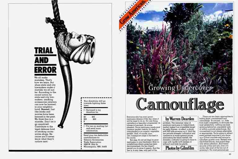 From the Archives: Growing Undercover Camouflage (1981) From the Archives: Growing Undercover Camouflage (1981)
